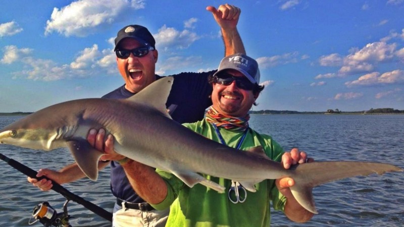 Shark Fishing in Florida - iOutdoor Fishing Adventures