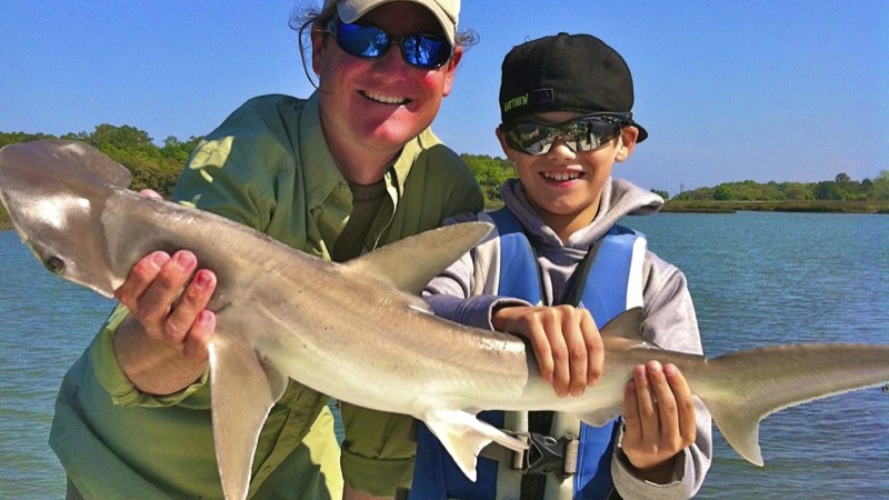 hammerhead shark caught by youth fishing in Hilton Head marsh creek